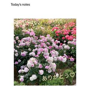 篠原詩織の写メ日記｜プレジデントハウス 吉原大衆店ソープ