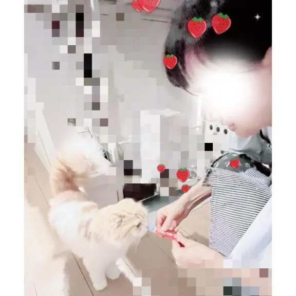 篠原詩織の写メ日記｜プレジデントハウス 吉原大衆店ソープ