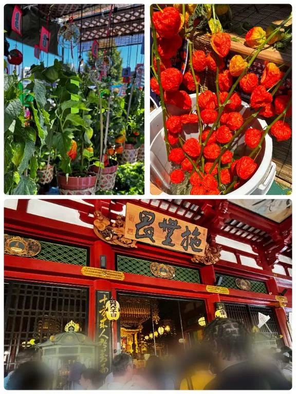 新名美緒の写メ日記｜プレジデントハウス 吉原大衆店ソープ