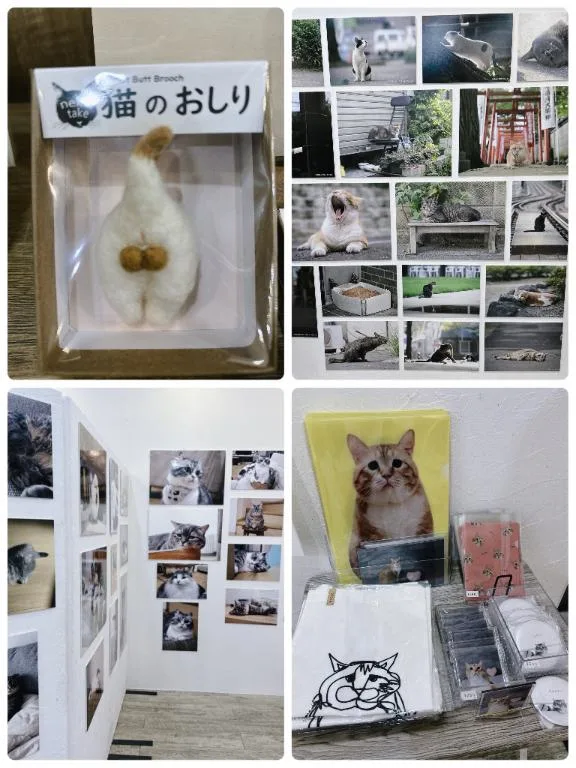新名美緒の写メ日記｜プレジデントハウス 吉原大衆店ソープ