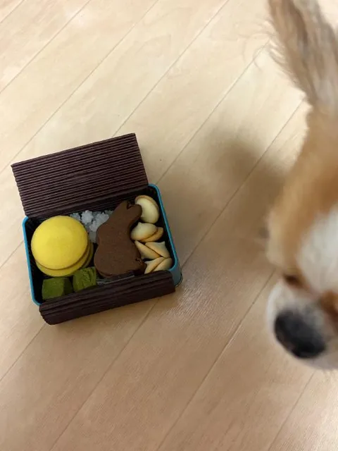 琴音みやびの写メ日記｜プレジデントハウス 吉原大衆店ソープ