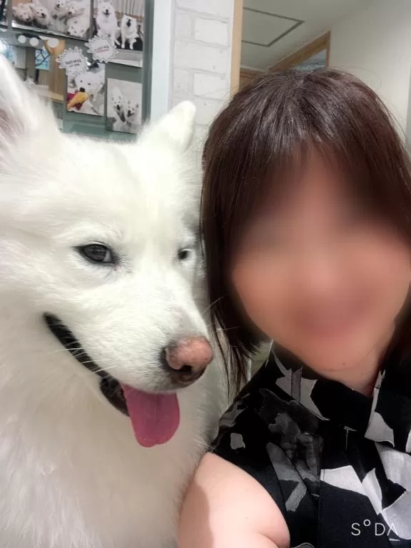 橘 みわの写メ日記｜プレジデントハウス 吉原大衆店ソープ