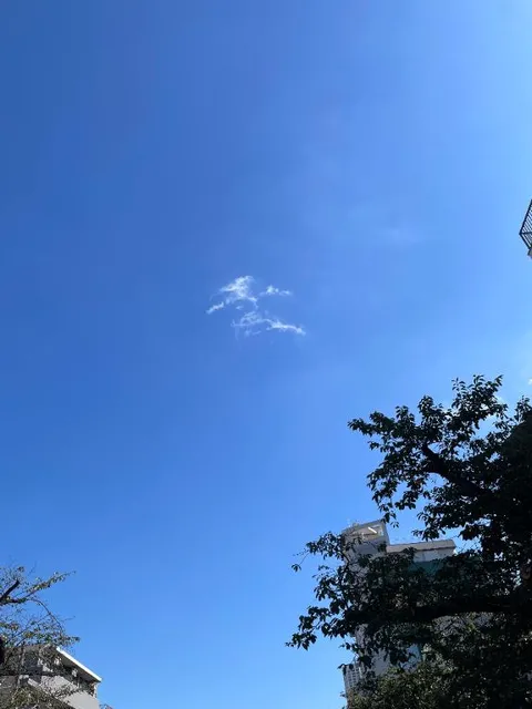 島津舞香の写メ日記｜プレジデントハウス 吉原大衆店ソープ