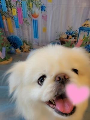 愛原よし乃の写メ日記｜ローテンブルク 吉原高級店ソープ
