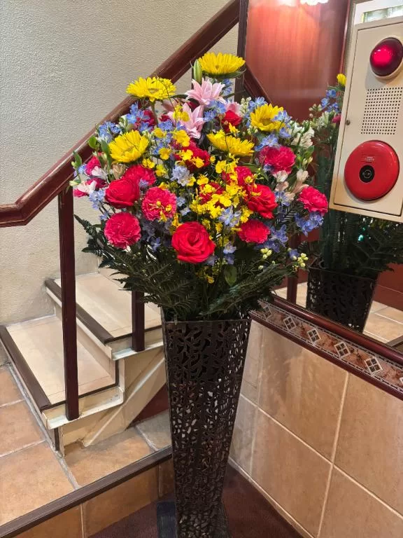 大桃かれんの写メ日記｜ローテンブルク 吉原高級店ソープ