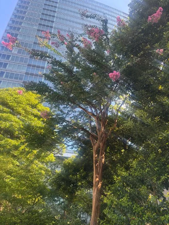 大桃かれんの写メ日記｜ローテンブルク 吉原高級店ソープ