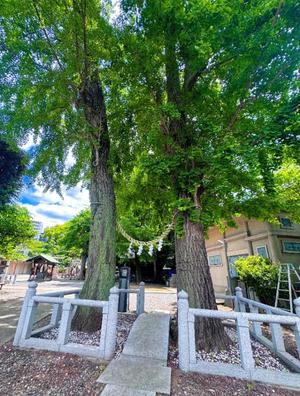 白崎史恵の写メ日記｜ローテンブルク 吉原高級店ソープ