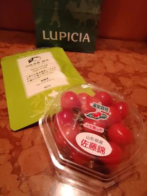 八木香苗の写メ日記｜ローテンブルク 吉原高級店ソープ