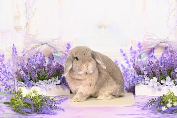 雪平奈々の写メ日記｜ローテンブルク 吉原高級店ソープ