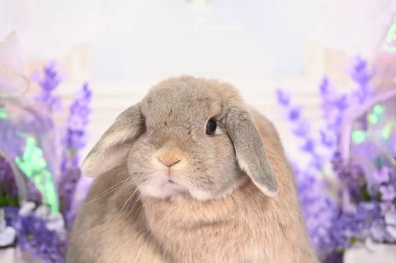 雪平奈々の写メ日記｜ローテンブルク 吉原高級店ソープ
