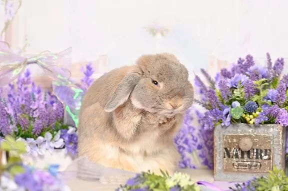 雪平奈々の写メ日記｜ローテンブルク 吉原高級店ソープ