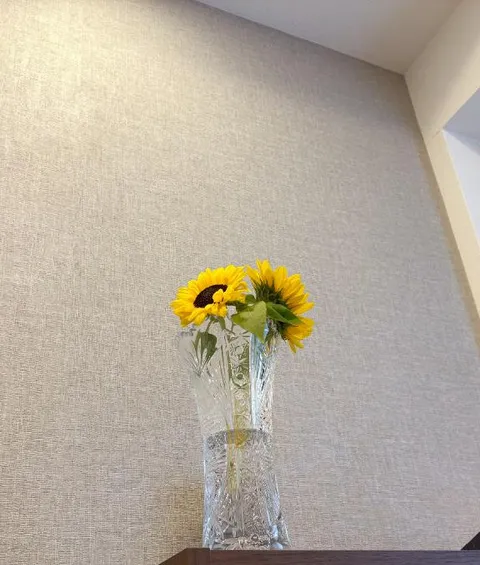 雪平奈々の写メ日記｜ローテンブルク 吉原高級店ソープ