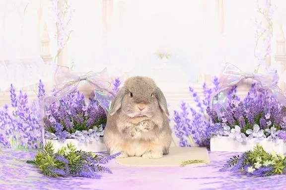 雪平奈々の写メ日記｜ローテンブルク 吉原高級店ソープ