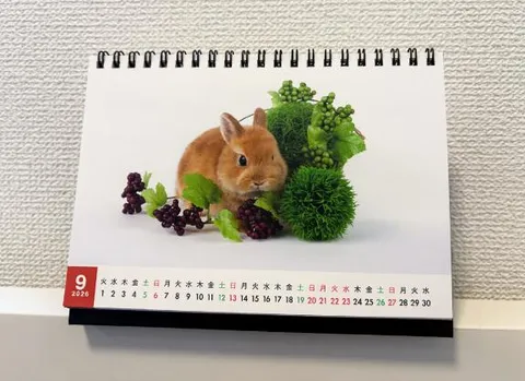 雪平奈々の写メ日記｜ローテンブルク 吉原高級店ソープ