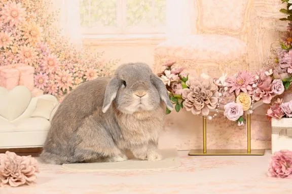 雪平奈々の写メ日記｜ローテンブルク 吉原高級店ソープ