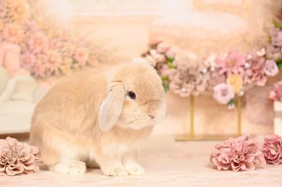 雪平奈々の写メ日記｜ローテンブルク 吉原高級店ソープ