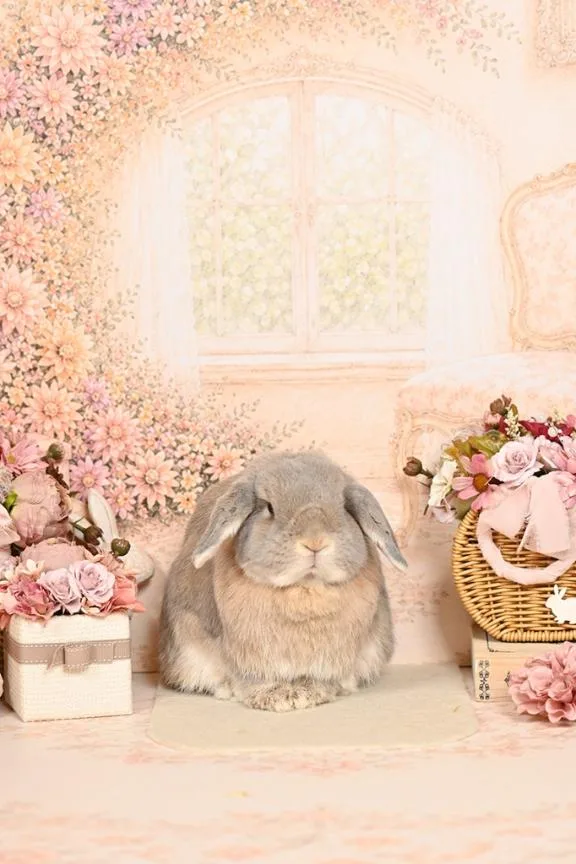 雪平奈々の写メ日記｜ローテンブルク 吉原高級店ソープ