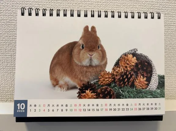 雪平奈々の写メ日記｜ローテンブルク 吉原高級店ソープ