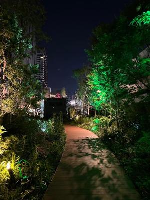 長澤舞美の写メ日記|ローテンブルク 吉原高級店ソープ