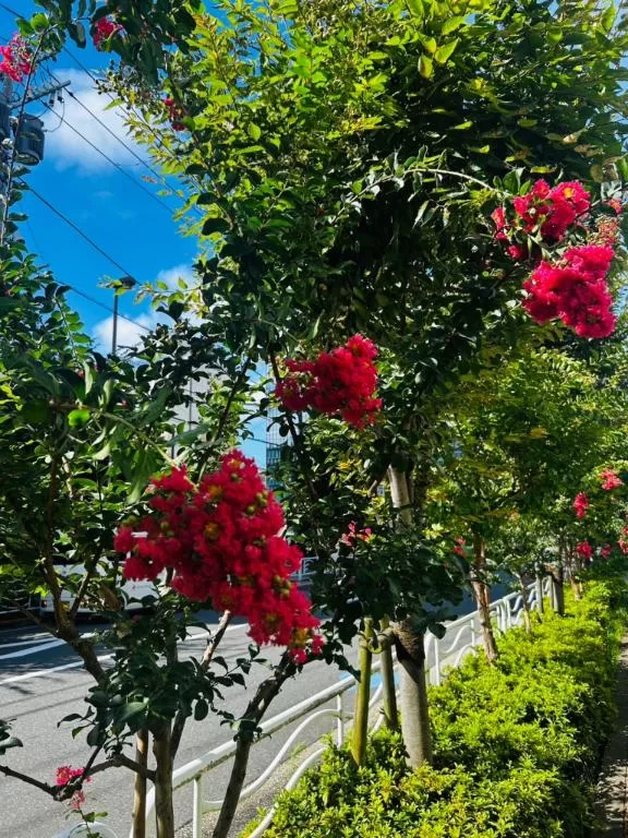長澤舞美の写メ日記｜ローテンブルク 吉原高級店ソープ