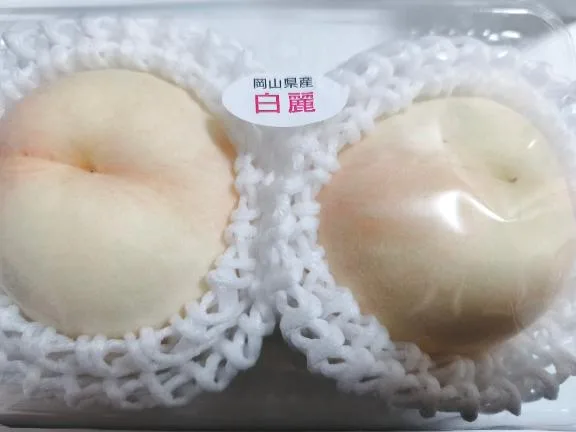 瑞木瑠華の写メ日記｜ローテンブルク 吉原高級店ソープ