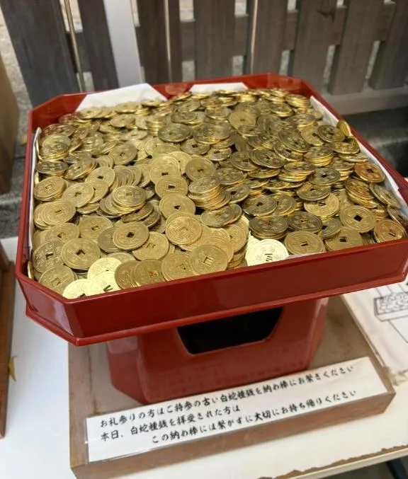 伊原知花の写メ日記｜ローテンブルク 吉原高級店ソープ