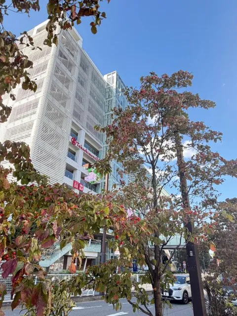 百瀬心結の写メ日記｜ローテンブルク 吉原高級店ソープ
