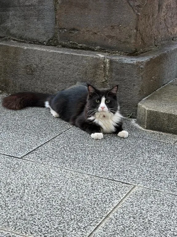 百瀬心結の写メ日記｜ローテンブルク 吉原高級店ソープ
