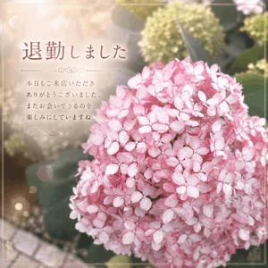 若尾留里の写メ日記｜ローテンブルク 吉原高級店ソープ