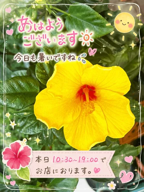 若尾留里の写メ日記｜ローテンブルク 吉原高級店ソープ