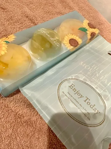 早乙女りえの写メ日記｜ローテンブルク 吉原高級店ソープ