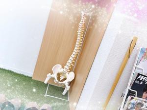 森川すみれの写メ日記｜ローテンブルク 吉原高級店ソープ