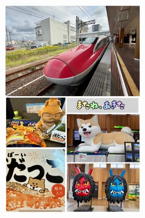森川すみれの写メ日記｜ローテンブルク 吉原高級店ソープ