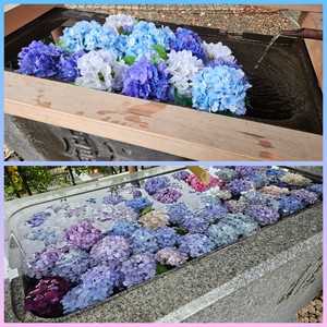 鳴沢ひろこの写メ日記｜ローテンブルク 吉原高級店ソープ
