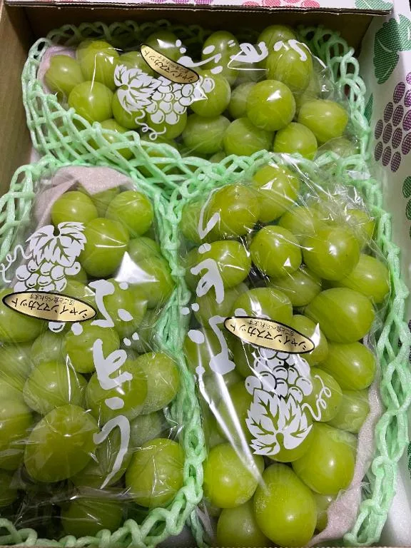 一之瀬 茜の写メ日記｜ローテンブルク 吉原高級店ソープ