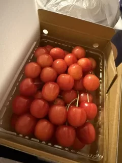 さゆりの写メ日記｜ローテンブルク 吉原高級店ソープ