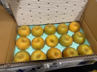 さゆりの写メ日記｜ローテンブルク 吉原高級店ソープ