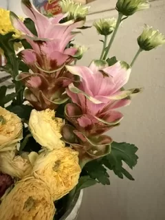 さゆりの写メ日記｜ローテンブルク 吉原高級店ソープ
