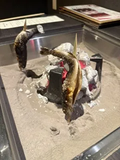 さゆりの写メ日記｜ローテンブルク 吉原高級店ソープ