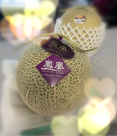 紀香の写メ日記｜ローテンブルク 吉原高級店ソープ
