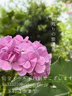 湊 かすみの写メ日記｜ローテンブルク 吉原高級店ソープ