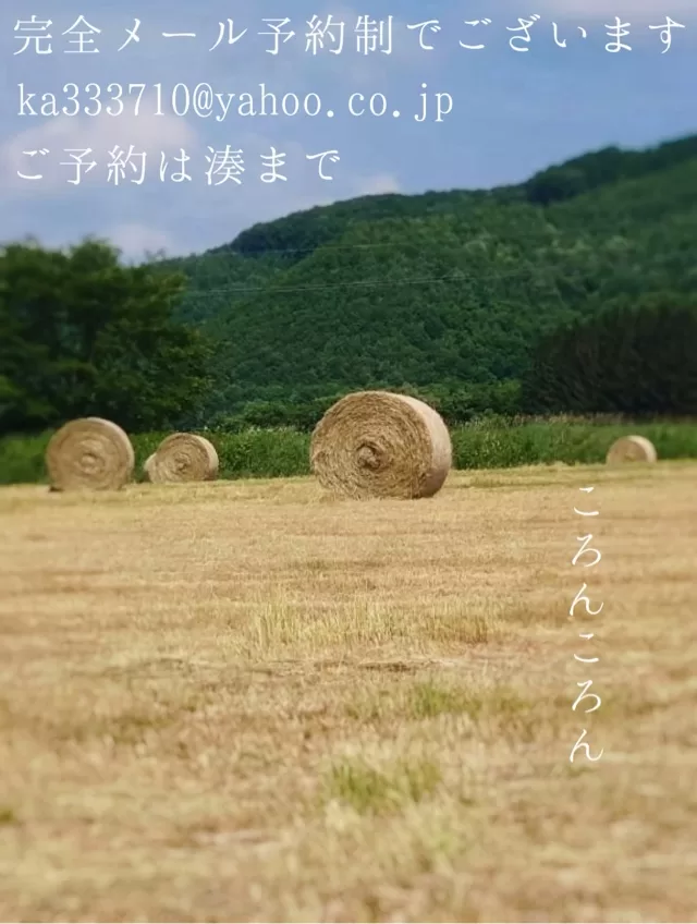 湊 かすみの写メ日記｜ローテンブルク 吉原高級店ソープ