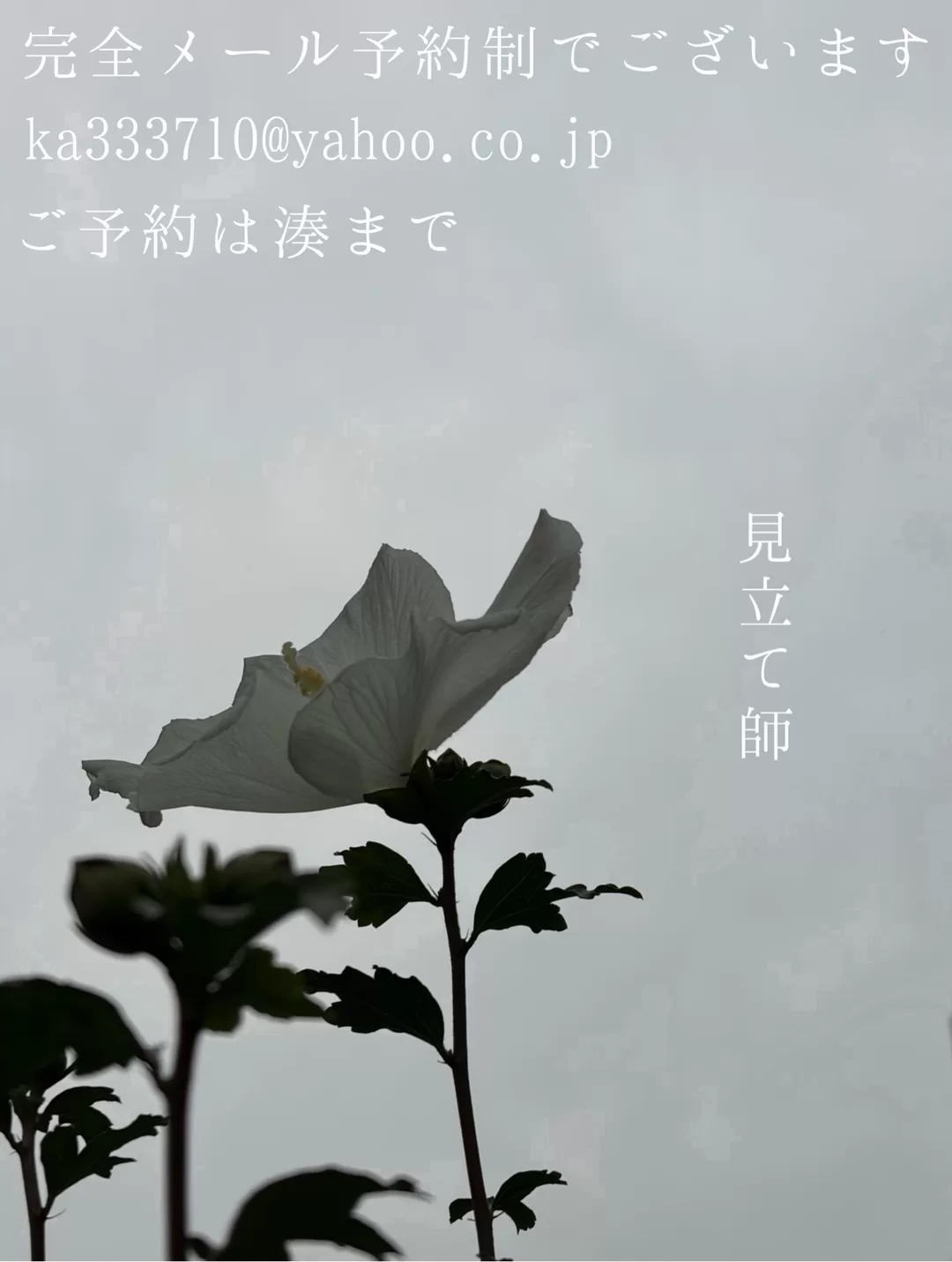 湊 かすみの写メ日記｜ローテンブルク 吉原高級店ソープ