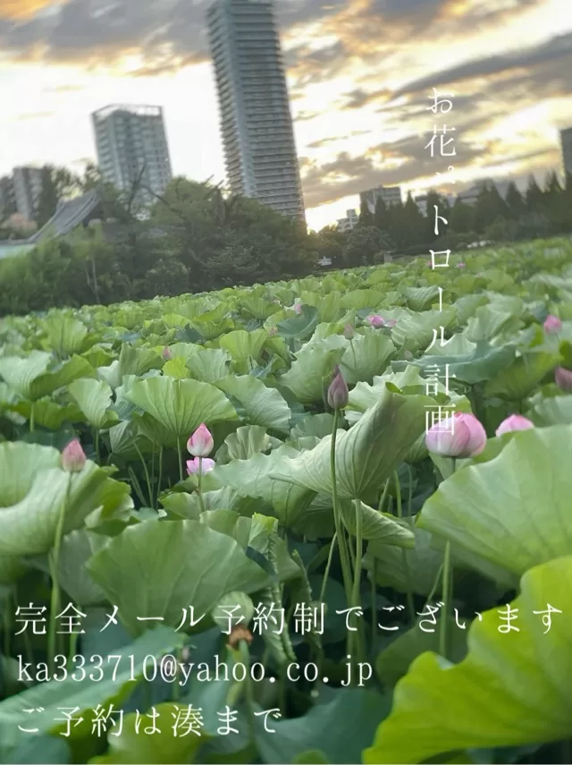 湊 かすみの写メ日記｜ローテンブルク 吉原高級店ソープ