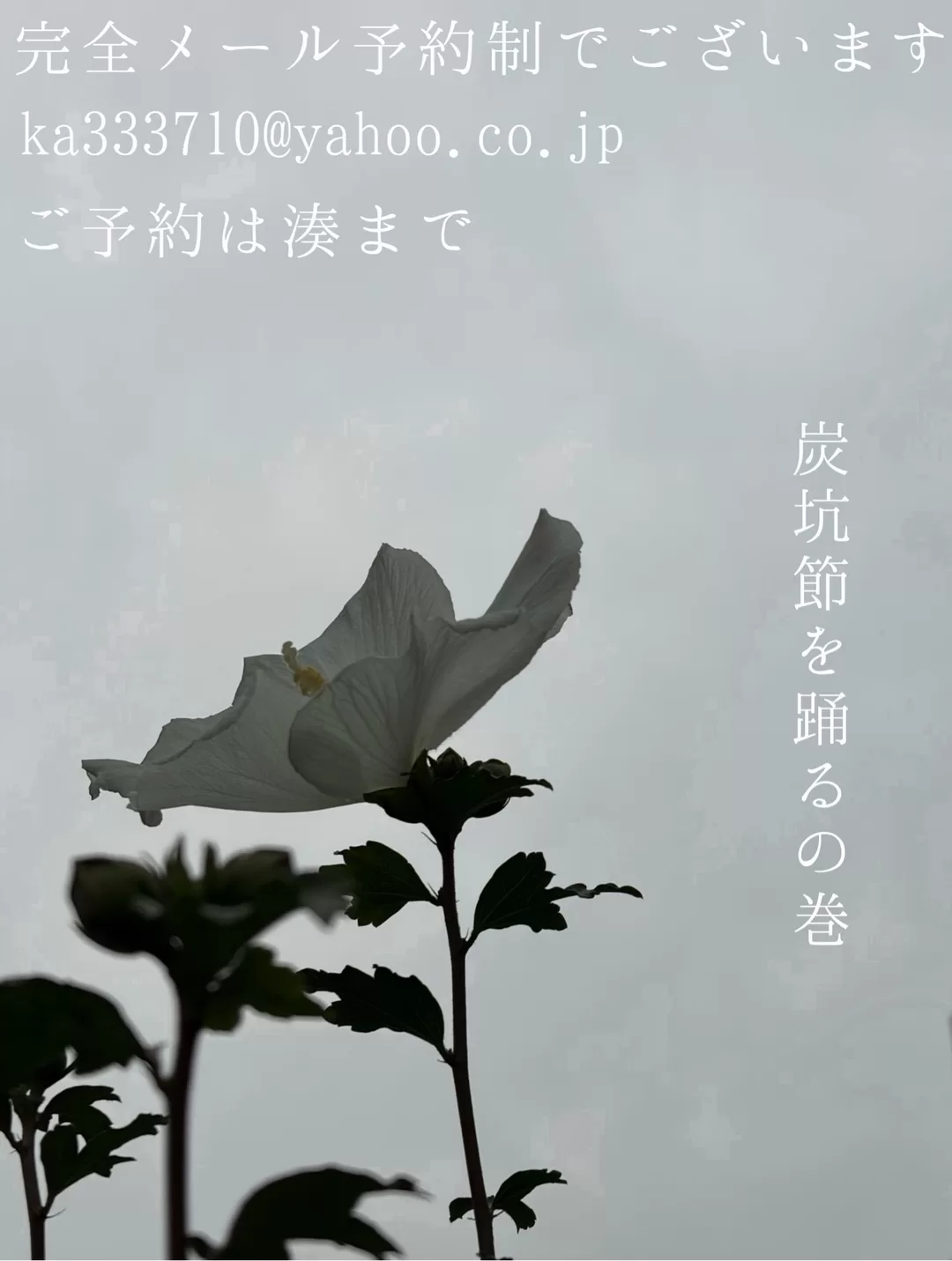 湊 かすみの写メ日記｜ローテンブルク 吉原高級店ソープ