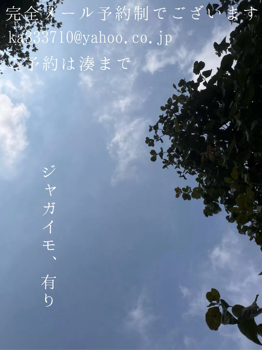 湊 かすみの写メ日記｜ローテンブルク 吉原高級店ソープ