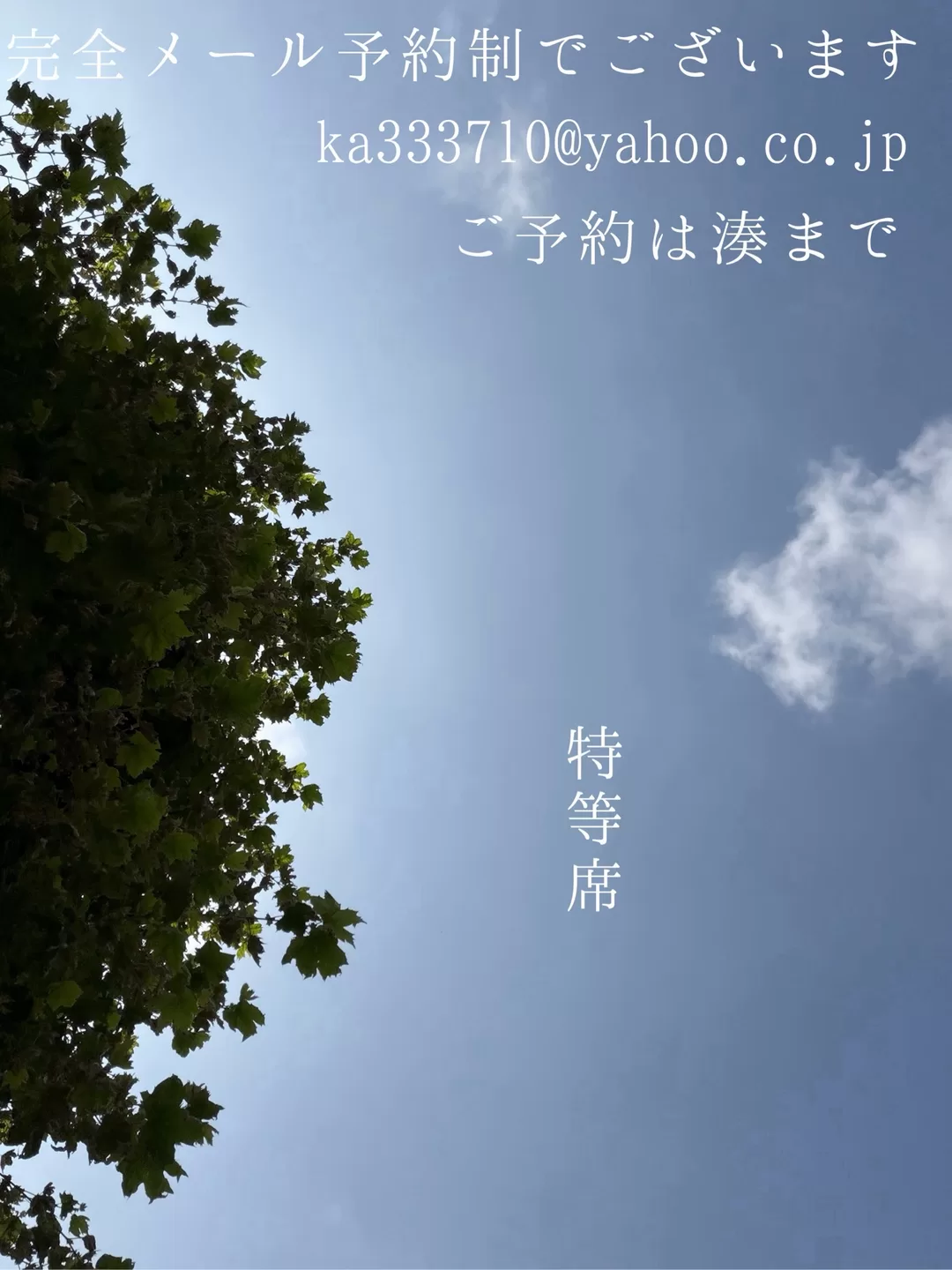 湊 かすみの写メ日記｜ローテンブルク 吉原高級店ソープ