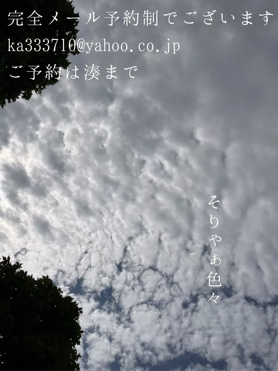 湊 かすみの写メ日記｜ローテンブルク 吉原高級店ソープ