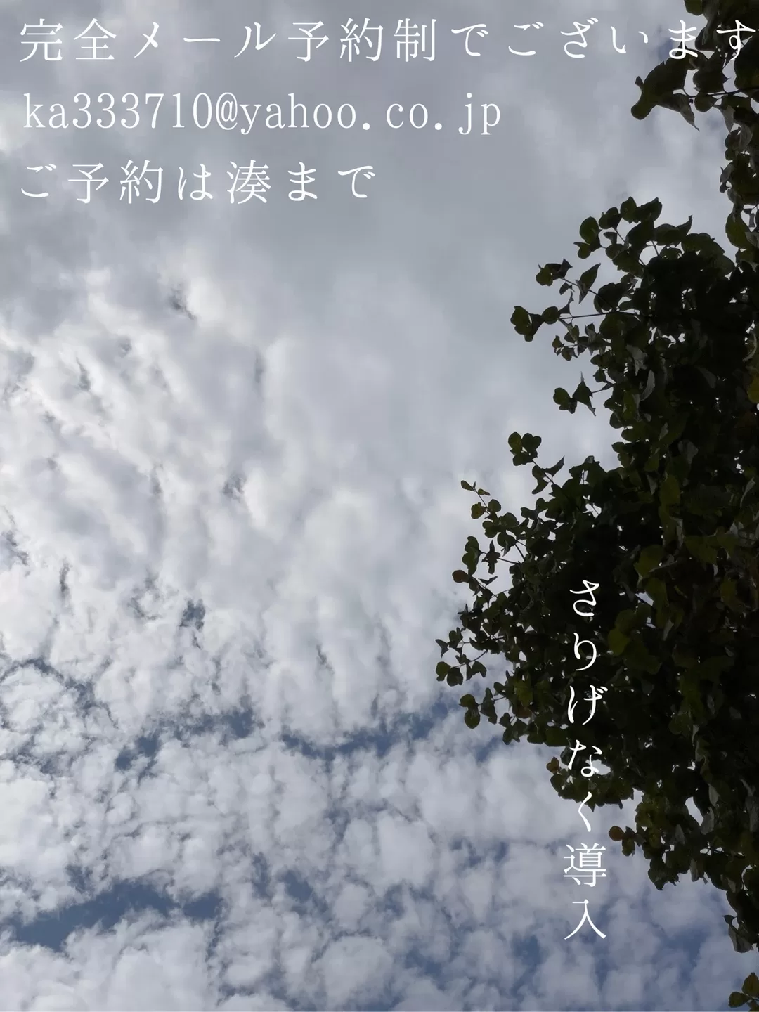 湊 かすみの写メ日記｜ローテンブルク 吉原高級店ソープ