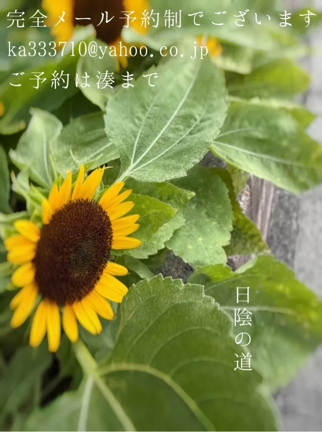 湊 かすみの写メ日記｜ローテンブルク 吉原高級店ソープ